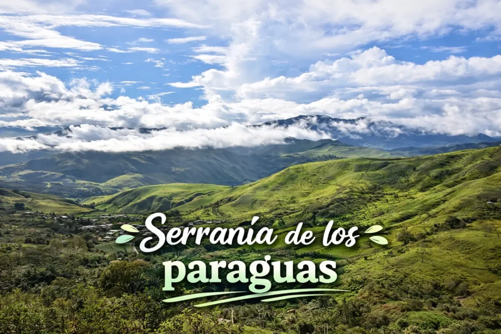Serranía de los Paraguas